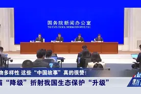 大熊猫“降级”！国务院新闻办发布重磅白皮书，一个细节不简单