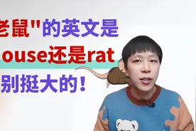 rat和mouse都是老鼠，到底怎么区分呢？这4组事物，你能分清吗？视频封面