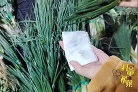 香葱一擦就掉色，竟是因为使用了它，是否对健康有害？|生活提示