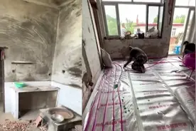 女子翻新闲置10多年老房，5个月后焕然一新，破房变豪宅全家入住视频封面