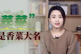 为啥把香菜叫做“芫荽”？你以为是土话方言，其实这才读对了视频封面