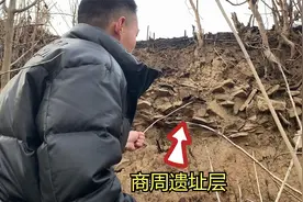 麦田当中出现一座老城遗址，秦砖汉瓦随处可见，还发现不久的盗洞