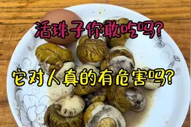 活珠子你敢吃吗？它对人体真的有危害吗？视频封面