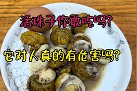 活珠子你敢吃吗？它对人体真的有危害吗？