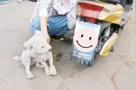 小伙在常州花850元买的电瓶车，没牌照以后还能上路吗视频封面