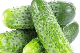 原来挑选黄瓜如此简单，看准这几点，好黄瓜一眼就能辨别