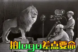 电影公司LOGO冷知识：米高梅96里年拍7只活狮子，摄影师想骂人