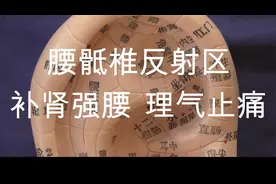 腰骶椎反射区补肾强腰 理气止痛 主治疾病 坐骨神经痛 腰骶痛视频封面