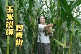 掰几个玉米做馍馍，再切点青椒爆炒，香辣脆爽，做一大盘都不够吃视频封面