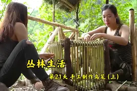 丛林生活-第21天 用树木制作鸟笼视频封面