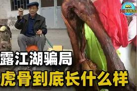 揭秘江湖骗局！真虎骨到底长什么样？地摊上假虎骨是怎么制成的？视频封面