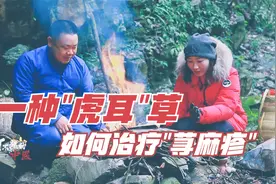 脾虚百病生！2种侗族民间草药，如何治疗痔疮和荨麻疹？视频封面
