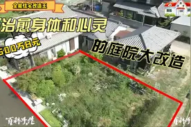 500万日元只为患病母亲改造荒废庭院！视频封面