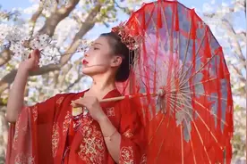 百年梨园“云赏花”视频封面