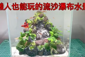懒人也能玩的阴性水草流沙瀑布水景，简单漂亮又有个性视频封面