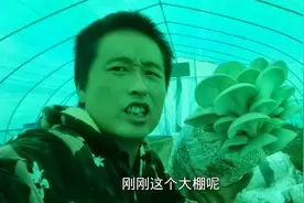 农村不值钱的苞米芯，简单加工一下养殖蘑菇，价值翻了几十倍视频封面