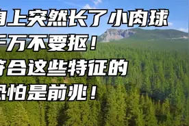 身上突然长了小肉球，千万不要抠！符合这些特征的，恐怕是前兆！视频封面