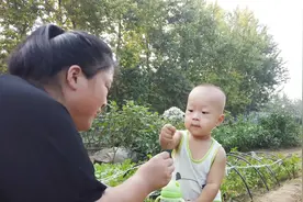 菜园子的辣椒吃不完，教你正宗辣椒酱的做法，香辣过瘾3年都不坏视频封面