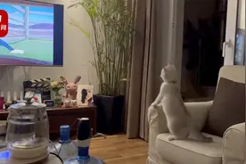 猫咪看《猫和老鼠》太入戏差点扑进电视机：看汤姆猫被欺负急眼了视频封面