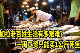 孟加拉老百姓的生活有多艰难？1周的工资，只能买1公斤死鱼视频封面