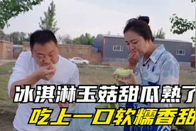 冰淇淋玉菇甜瓜熟了，型男连夜开车1000多公里到山东莘县定瓜棚视频封面