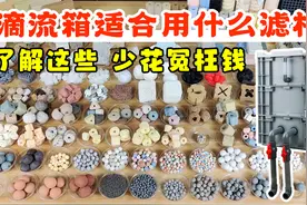 滴流箱/周转箱过滤，搭配这些滤材，经济实惠效果好，少花冤枉钱