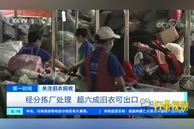 回收上来的旧衣服去哪儿了？记者带你走进旧衣分拣工厂|第一时间视频封面