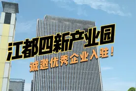 江都经济开发区四新产业园诚邀优秀企业视频封面