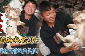 花300块包下一个废弃的兔子养殖场，没想到最后竟然有这么多视频封面
