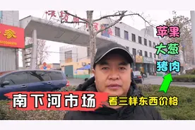 逛潍坊的南下河市场，看看批发市场里的大葱和猪肉价格，又贵了视频封面