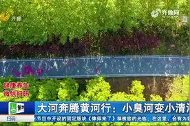 48公里生态景观带亮相，小臭河变小清河，济南小清河“新妆”登场视频封面