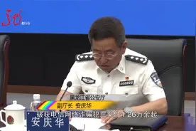 黑龙江省公安厅举行新闻发布会 通报一年来打击违法犯罪情况视频封面