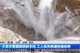 小区水管爆裂喷射水柱 工人优先保通快速抢修视频封面