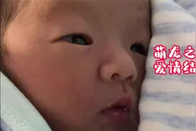 萌龙之恋结硕果，百万网友齐贺萌萌和张龙喜得贵子，恩爱到永远。