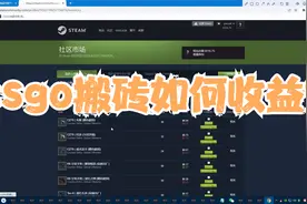 csgo饰品steam搬砖项目介绍