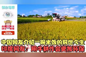 中国网友介绍一碗米饭的前世今生，印度网友：用牛耕作会更加环保视频封面