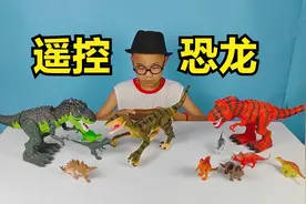 小泽开箱玩价值208元的遥控迅猛龙玩具，解锁逼真恐龙新玩法