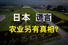 日本农民年入50万，补贴高达470种，背后全靠“无农药”谎言？视频封面