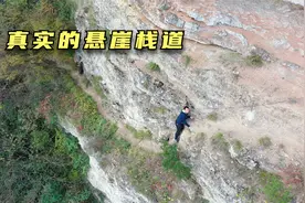 真实的悬崖栈道到底是啥样？来湖北恩施的大山看看，看完你敢走吗视频封面