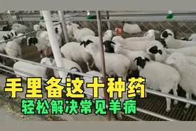 养羊常用的十种药，每一种药都防治什么病？视频最后有汇总表视频封面