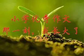 小学优秀作文《那一刻，我长大了》丈夫许国，实为幸事！视频封面