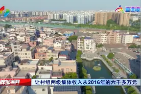 扎根基层的“铿锵玫瑰”——佛山市道德模范陆秀兴视频封面