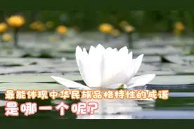 最能体现我们民族品格的一个成语，常被挂在墙上，究竟是哪一个呢视频封面
