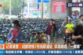 成都地铁2号线犀浦站，共享单车挤得满当，早高峰成“一窝蜂”视频封面
