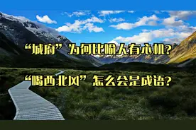 “城府”为何比喻人有心机？_“喝西北风”怎么会是成语？视频封面