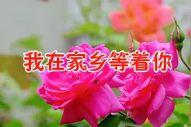 新歌！一首《我在家乡等着你》期盼你早日回心转意，依然深爱着你视频封面