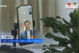 全国人大代表白鹤祥：加快推进粤港澳大湾区国际金融枢纽建设视频封面