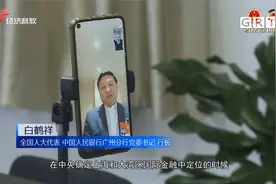 全国人大代表白鹤祥：加快推进粤港澳大湾区国际金融枢纽建设视频封面