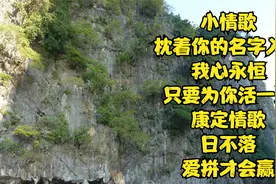 只要为你活一天，我会枕着你的名字入眠，小情歌是你日不落的思念视频封面