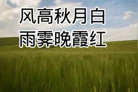 笠翁对韵 讲解版，第一课，一东视频封面